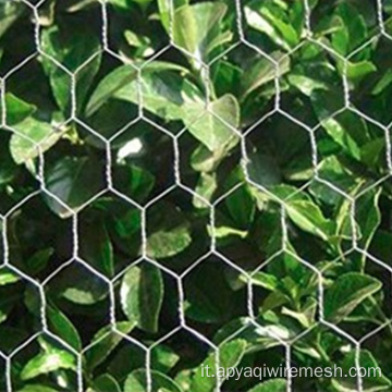 Mesh di filo esagonale di pesce in PVC professionale